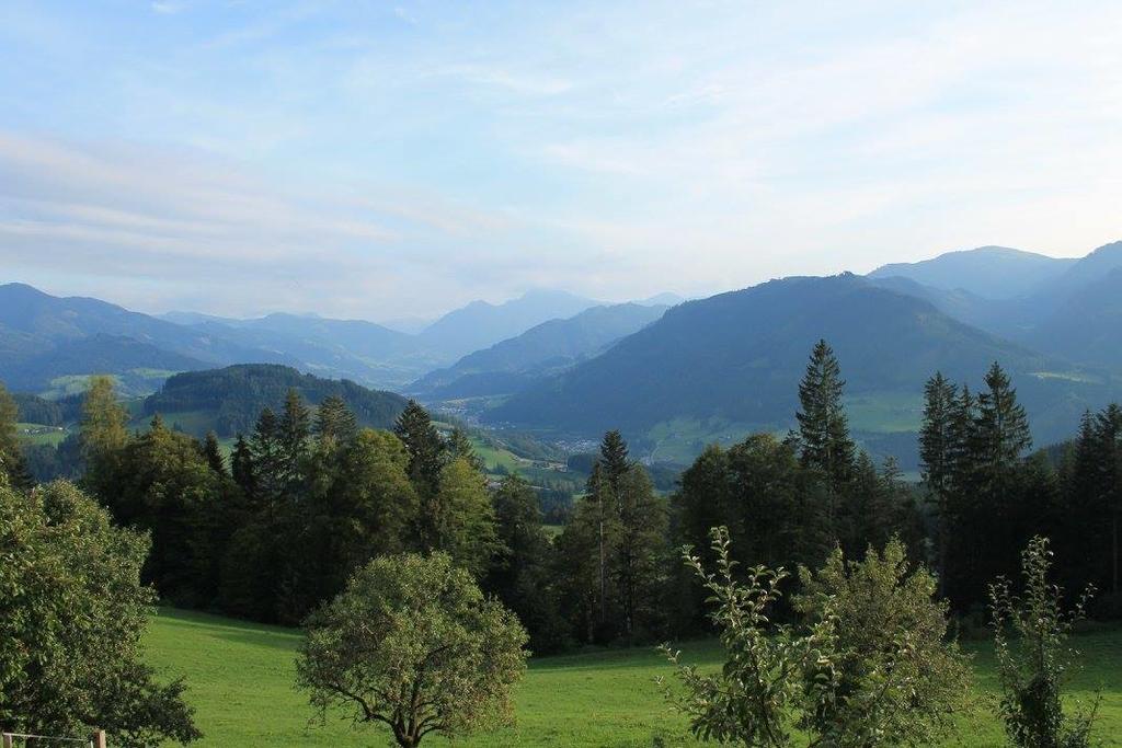Ferienhotel Samerhof Pfarrwerfen Exterior foto