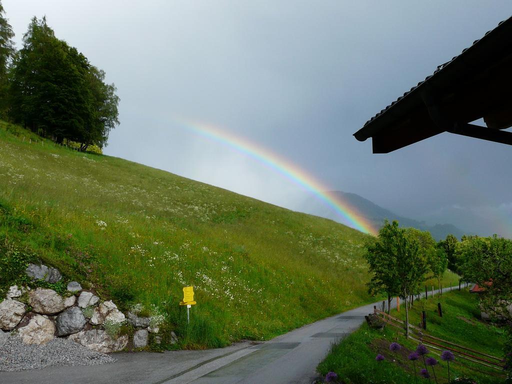 Ferienhotel Samerhof Pfarrwerfen Cameră foto