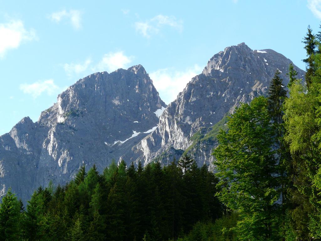 Ferienhotel Samerhof Pfarrwerfen Cameră foto