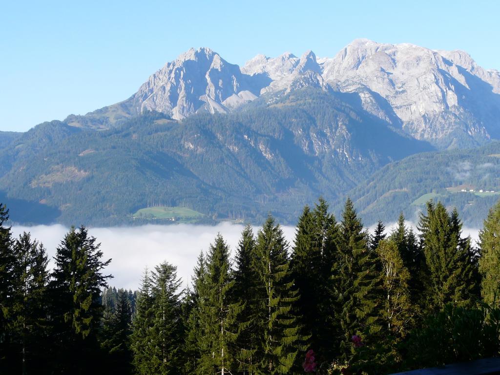 Ferienhotel Samerhof Pfarrwerfen Cameră foto